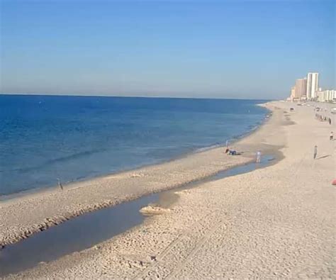 bama beach cams